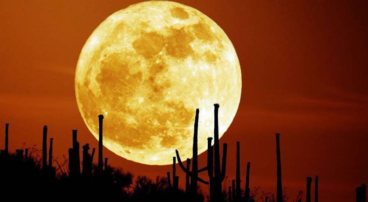 قمر الحصادين يُزين سماء المملكة مساء الإثنين